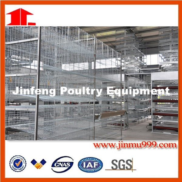 Automatic Chicken Cage Henhouse Poultry Equipment