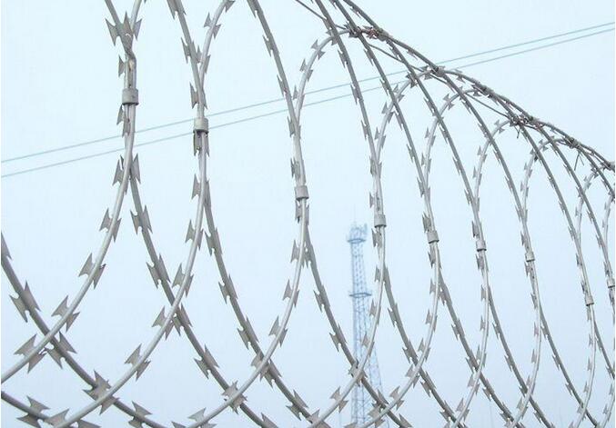 Security Fencing Razor Barbed Wire