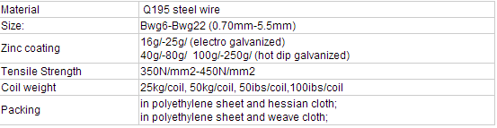 Electro Galvanized Wire/Galvanized Iron Wire Bwg22 18 Manufacturer, Factory