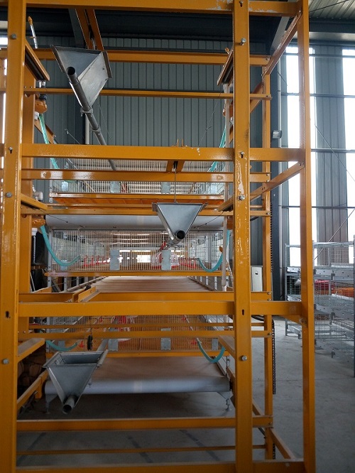 H Frame Broiler Cage