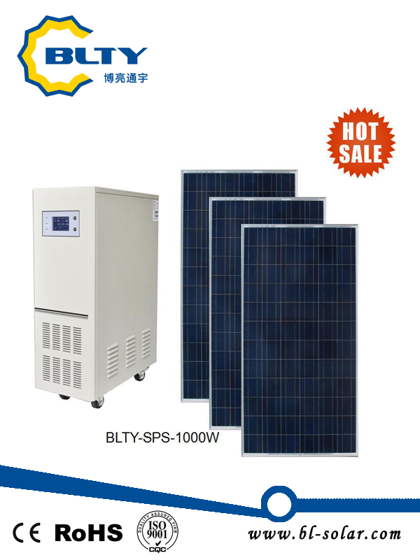 1000W Controller & Inverter off Grid Solar Power System 1kw