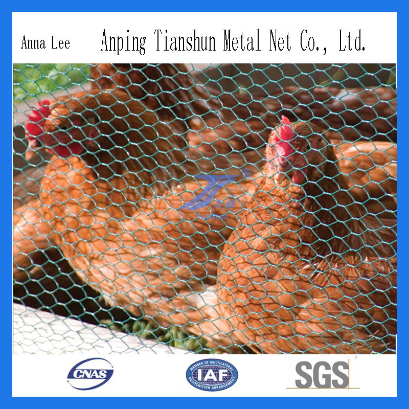 High Quality Hexagonal Wire Mesh (factory)