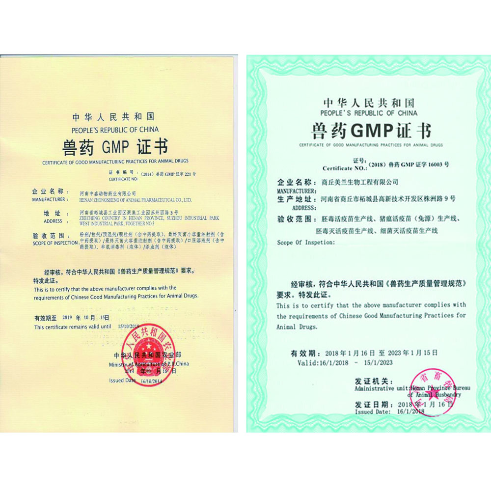 GMP Certificate