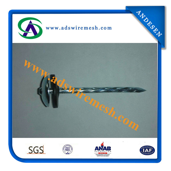 Galvanized Roofing Nail/Umbrella Head Coil Roofing Nail