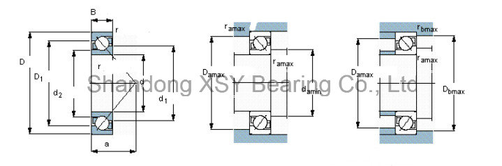 Automotive Bearing Angular Contace Ball Bearing