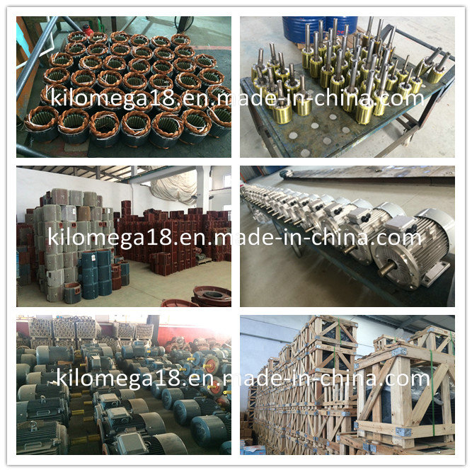 Three Phase Cast Iron Electric Motor 0.75kw-280kw