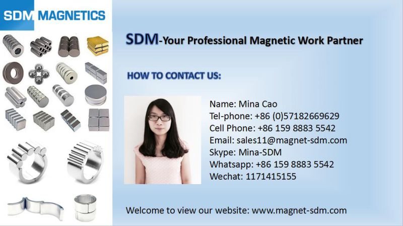 D60mm N42 Neodymium Magnet with M8 Hook