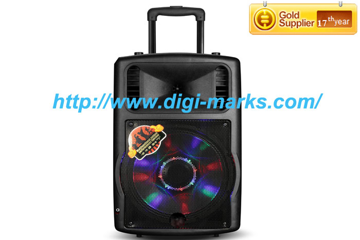 Professional Golden Supplier Portable Battery DJ Bass Speaker