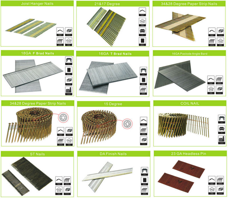 Zinc Galvanized Paper Tape Collated Nails