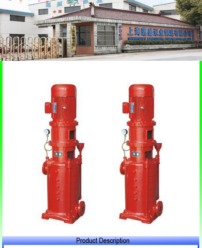 Portable Fire Pump with Fixation