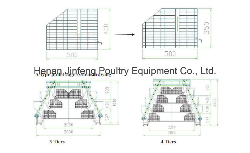 a Type Automatic/Semi-Automatic Poultry Equipment for Pullet Chicken Use