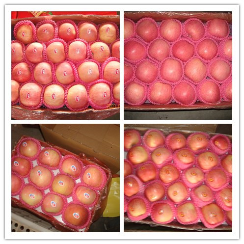 China Fresh Red Delicious Apples