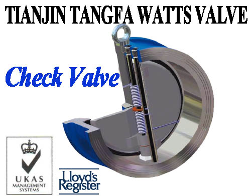 Dn50-Dn600 Wafer Check Valve with Two Disc