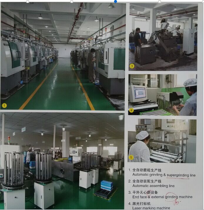 China Bearing Manufacturer All Kinds of Bearing Housing Bearing Housing Snl509