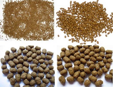 Popular Strong Power Trout Fish Floating Feed