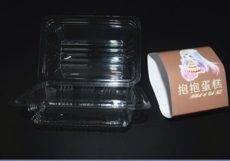 health plastic clamshell food container box (clear PP packaging)