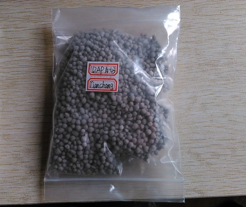 Free Sample DAP Granular 14-43 Fertilizer