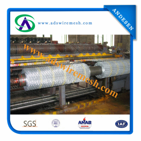 Galvanized Chicken Wire Mesh/Hexagonal Wire Netting