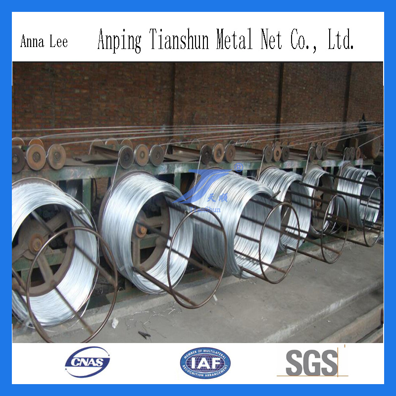 High Quality Galvanized (GI) Wire/Binding Wire (factory)