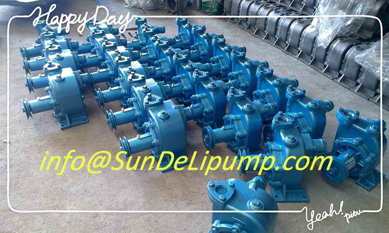 Marine Pump for Sea Water China