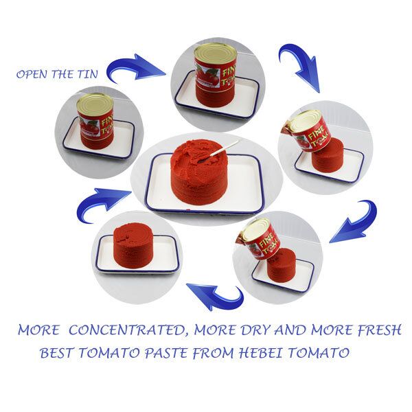 OEM Organic Canned Tomato Paste of 850g Tomato Plant