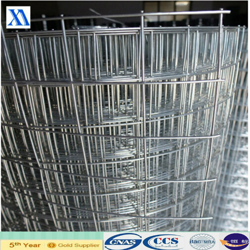 Welded Wire Mesh in Roll Used for Construction