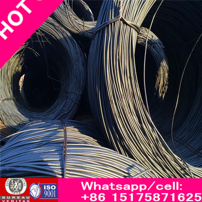 Bwg8 ~ 23 # Bwg 14 Electric Galvanized Wire/Electric Gi Wire/Electrical Cables