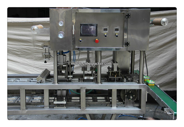 Disposable Cup Water Tray Sealer Machine for Sealing Cups