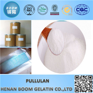 Pure Pullulan Powder CAS No. 9057-02-7