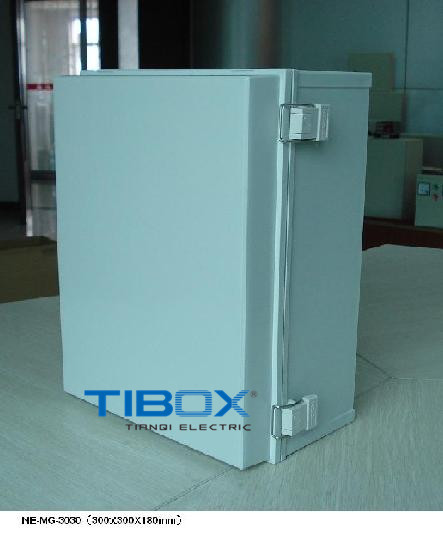 Plastic Box with Plastic Latch and Hinge Type