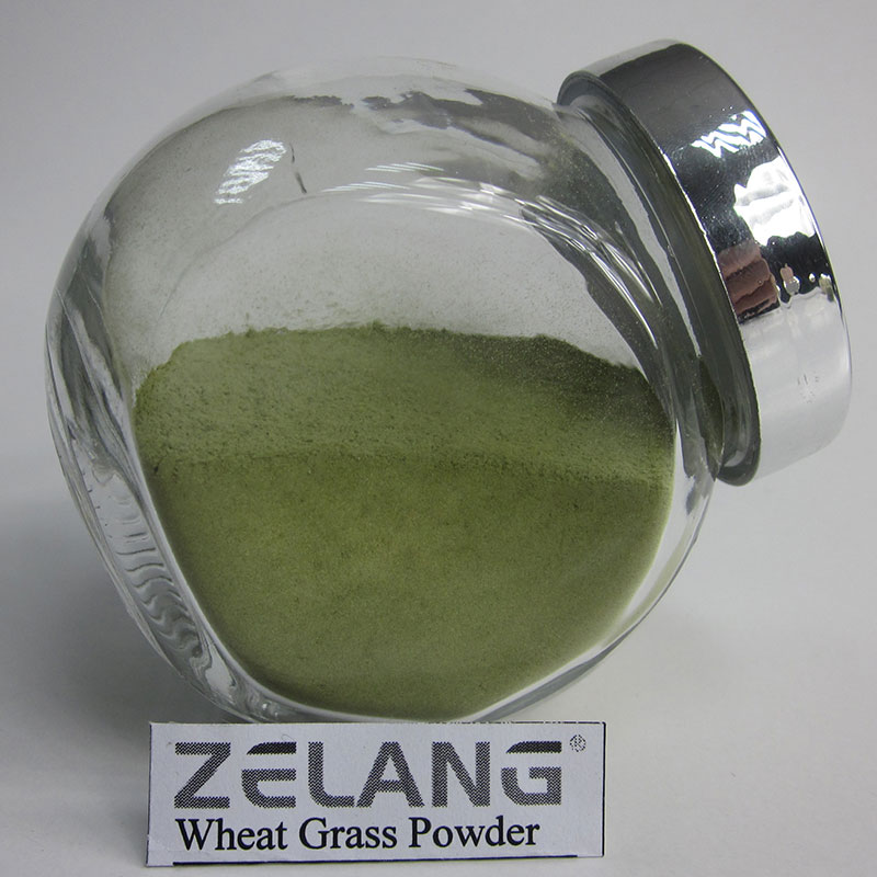 Supplier Amazing Wheat Grass Powder Bulk Wheatgrass Powder