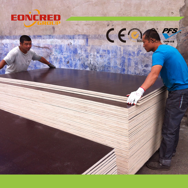 1250*2500mm Plywood/ 1250*2500mm Film Faced Plywood for Europe Market