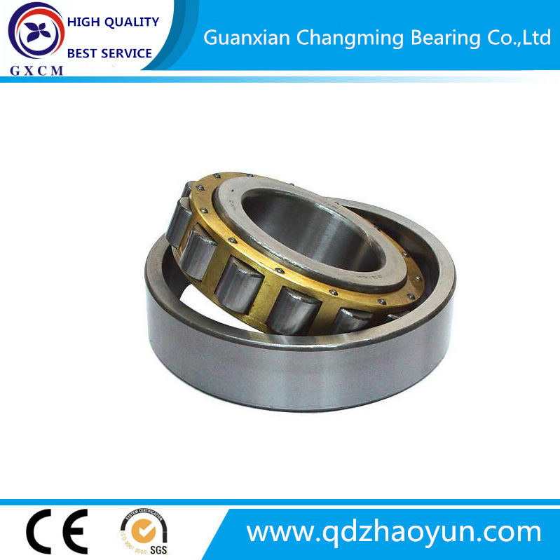 High Precision Cylindrical Roller Bearing 3020 Nn3020 for Machine Tool Spindles