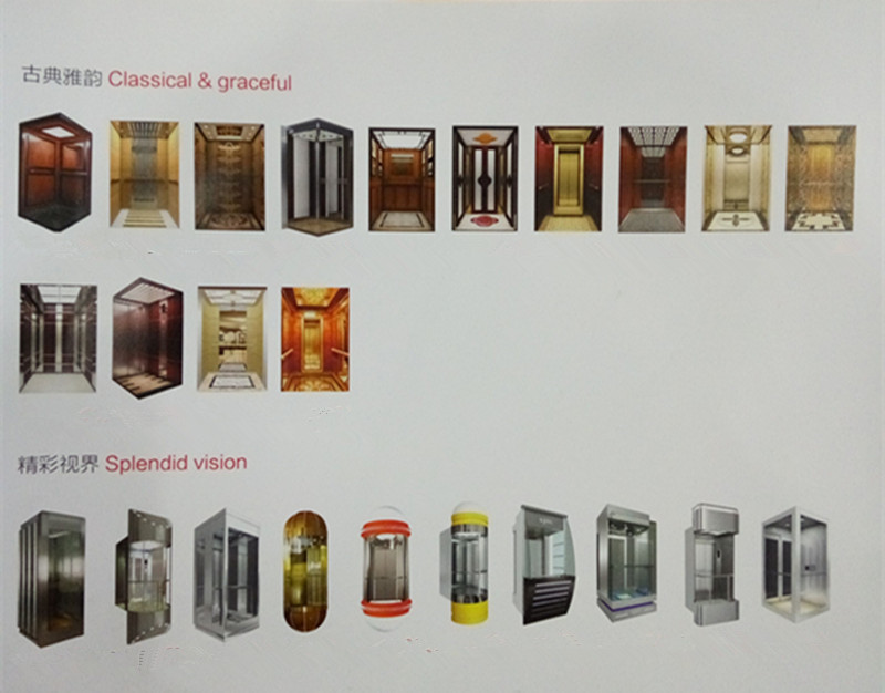 Germany Technology Elevator with Competitive Price