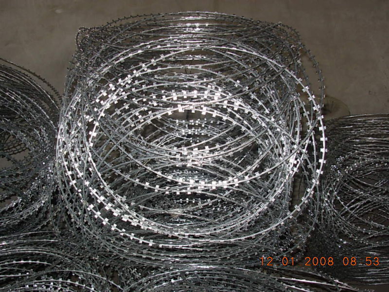 High Security Galvanized Razor Wire Using in Border Fence