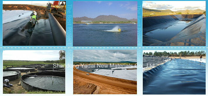 Geomembrane for Landfills and Fish Farm Pond Liner HDPE Geomembrane