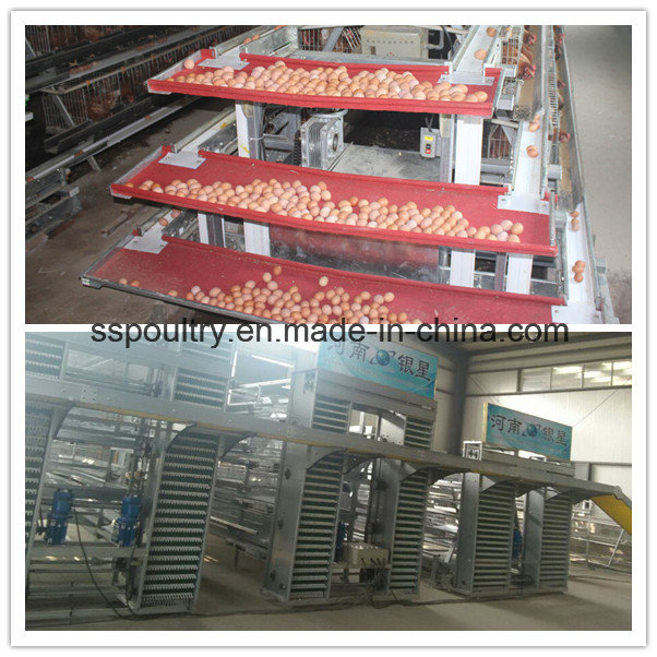 Strong and Durable Chicken Broiler Cage