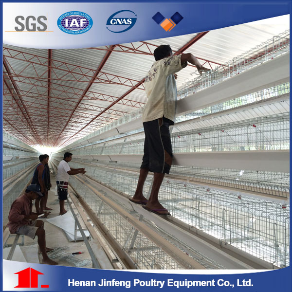 Breeder Cage in Poultry Farm