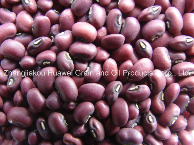 Red Cowpeas