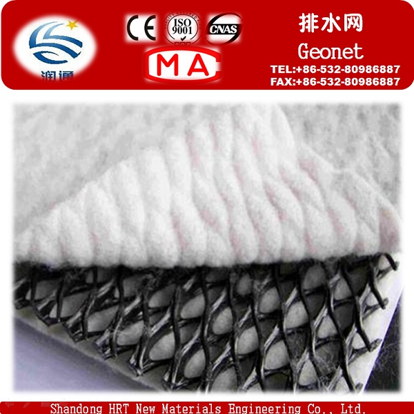 Hot Sale Tri-Dimension Compound Geonet HDPE Pond Liner