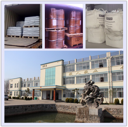 China Supply Best Quality Vitamin B6 Feed Grade