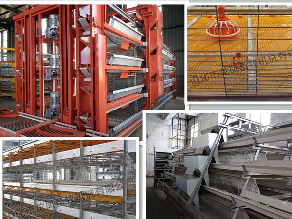 Automatic Galvanization Broiler Chicken Cage (H Type)