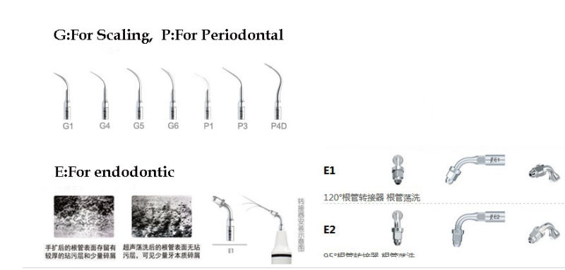 Woodpecker Dental Ultrasonic Teeth Cleaning System Scaler Machine Uds-E