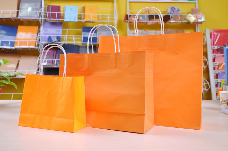 Brown Kraft Paper Shopping Gift Bags with Twisted Paper Handles