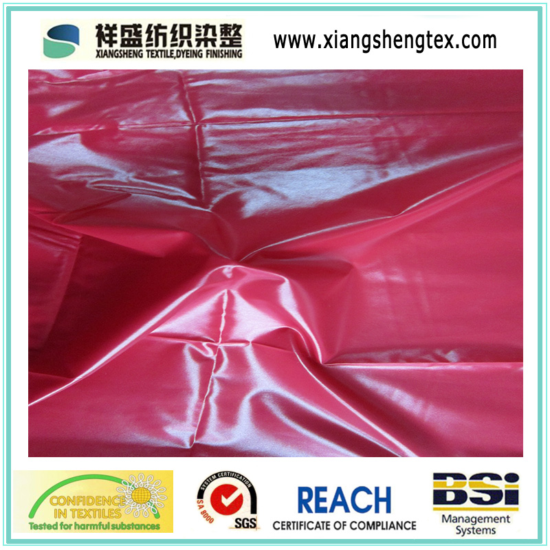 400t Semi Dull Nylon Taffeta for Down Jacket (XSN-001)