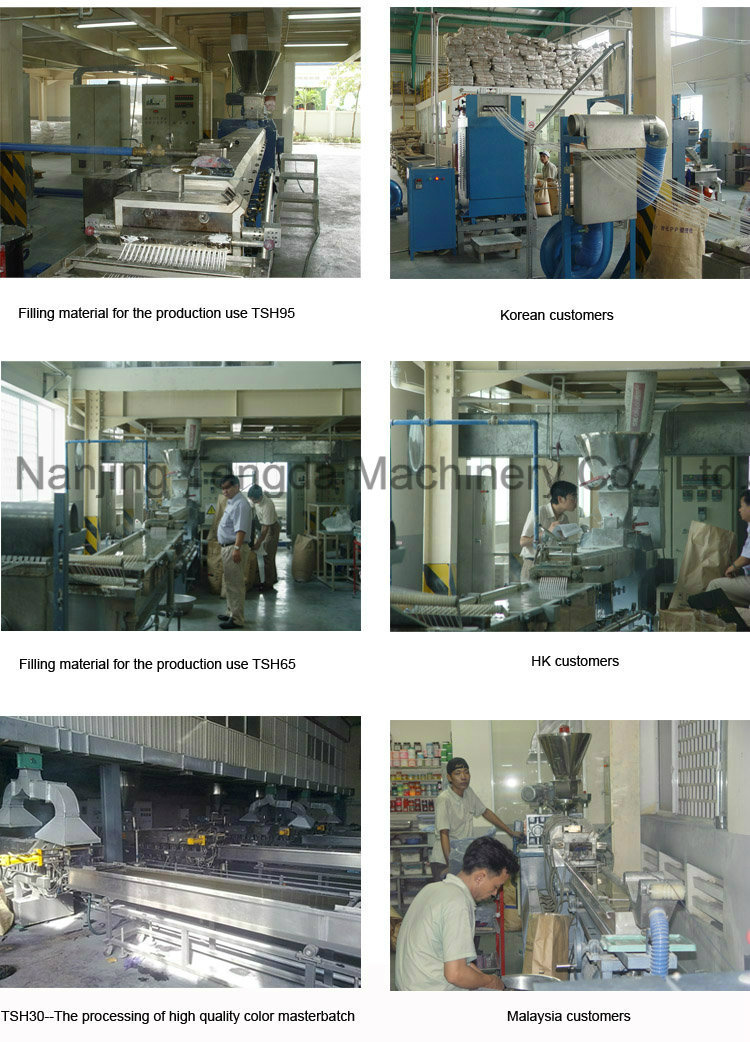 Rubber Twin Screw Extruder Plastic Sheet Extrusion Machine