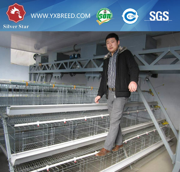 Silver Star Automatic Chicken Farm Poultry Cages