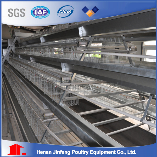 Poultry Feed Pan for Chicken Farm