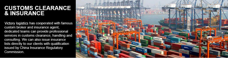 Freight Agent/Shipping Freight/Sea Freight/ From China to Worldwide