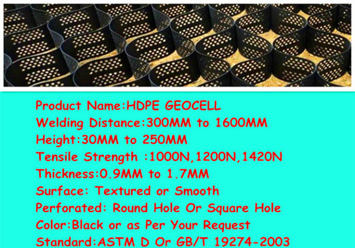 China Factory Plastic HDPE Geocells Geoweb with Ce Certificate